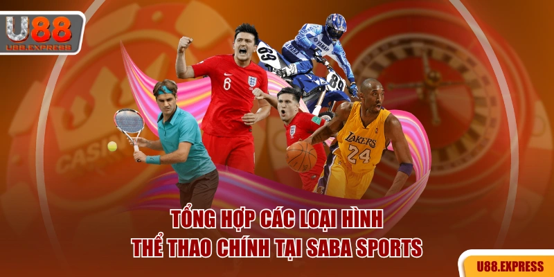 Tổng hợp các loại hình thể thao chính tại SABA Sports