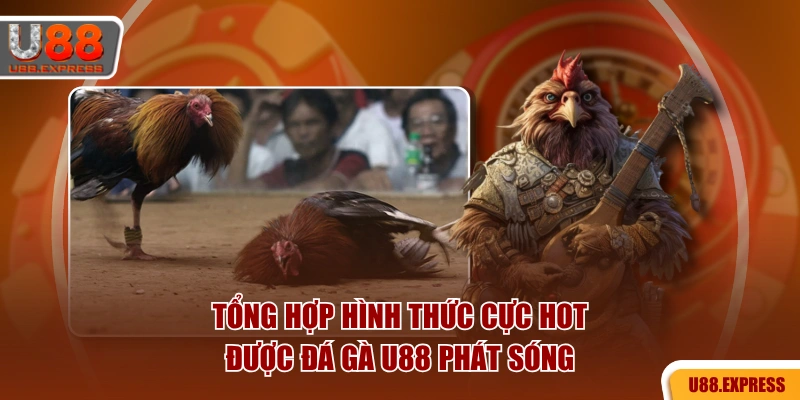 Tổng hợp hình thức cực hot được đá gà U88 phát sóng